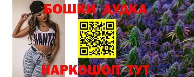 Альфа ПВП Малгобек