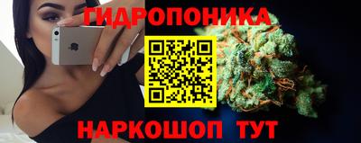 PSILOCYBIN Малоярославец