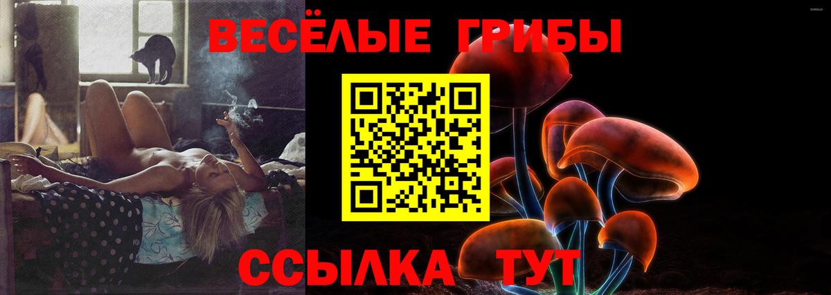 Псилоцибиновые грибы Psilocybine cubensis Советская Гавань